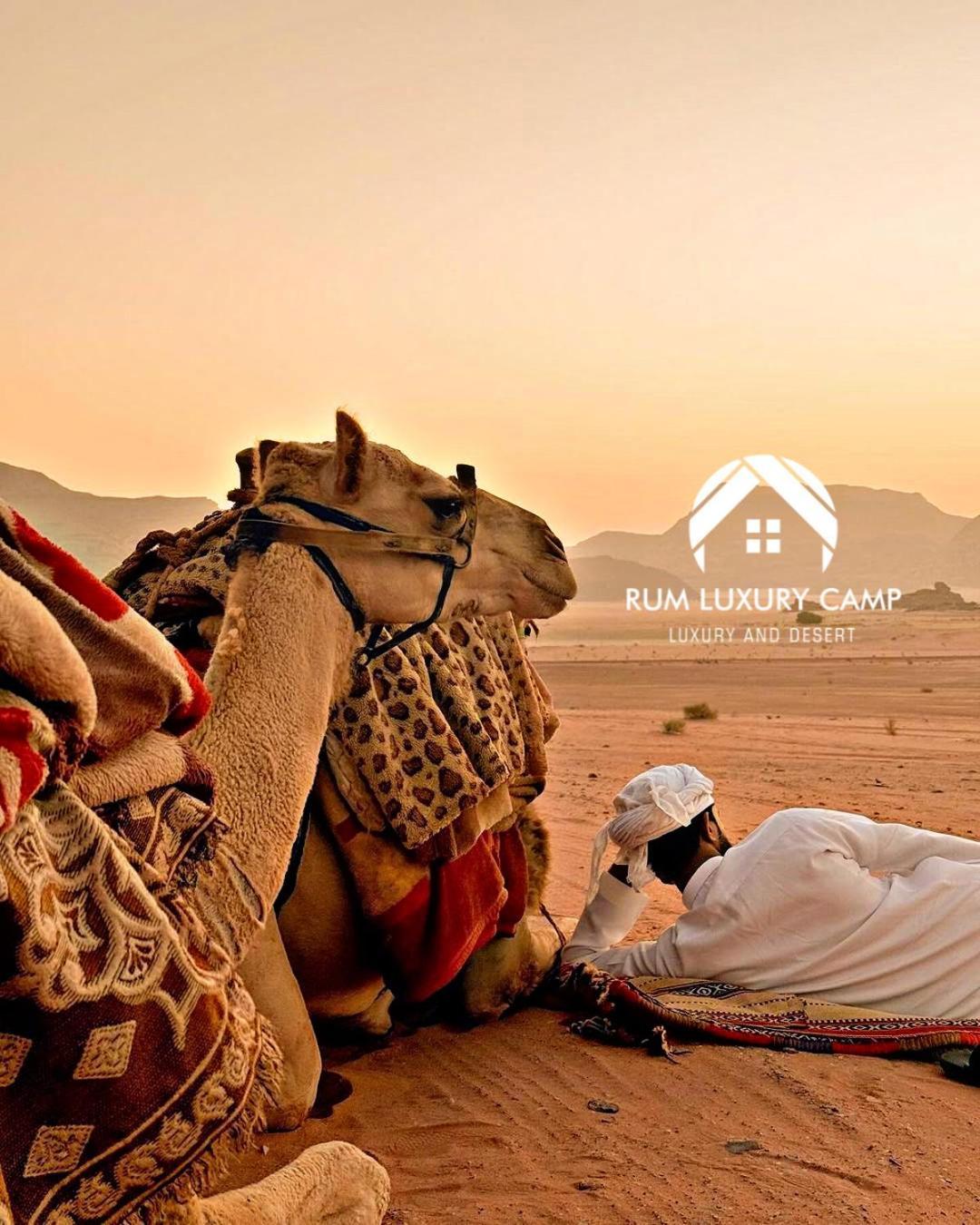 Rum Luxury Camp Wadi Rum Eksteriør billede