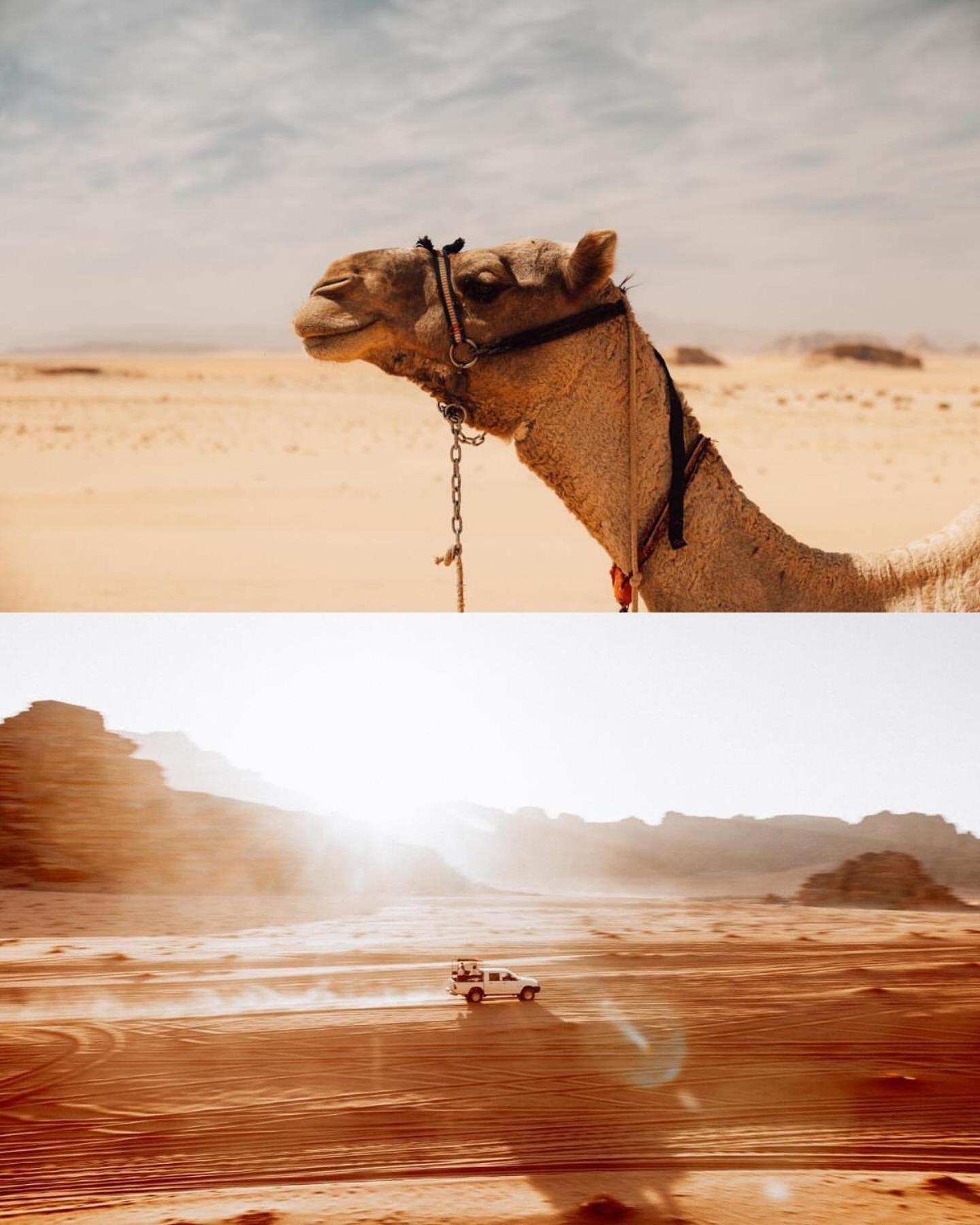 Rum Luxury Camp Wadi Rum Eksteriør billede