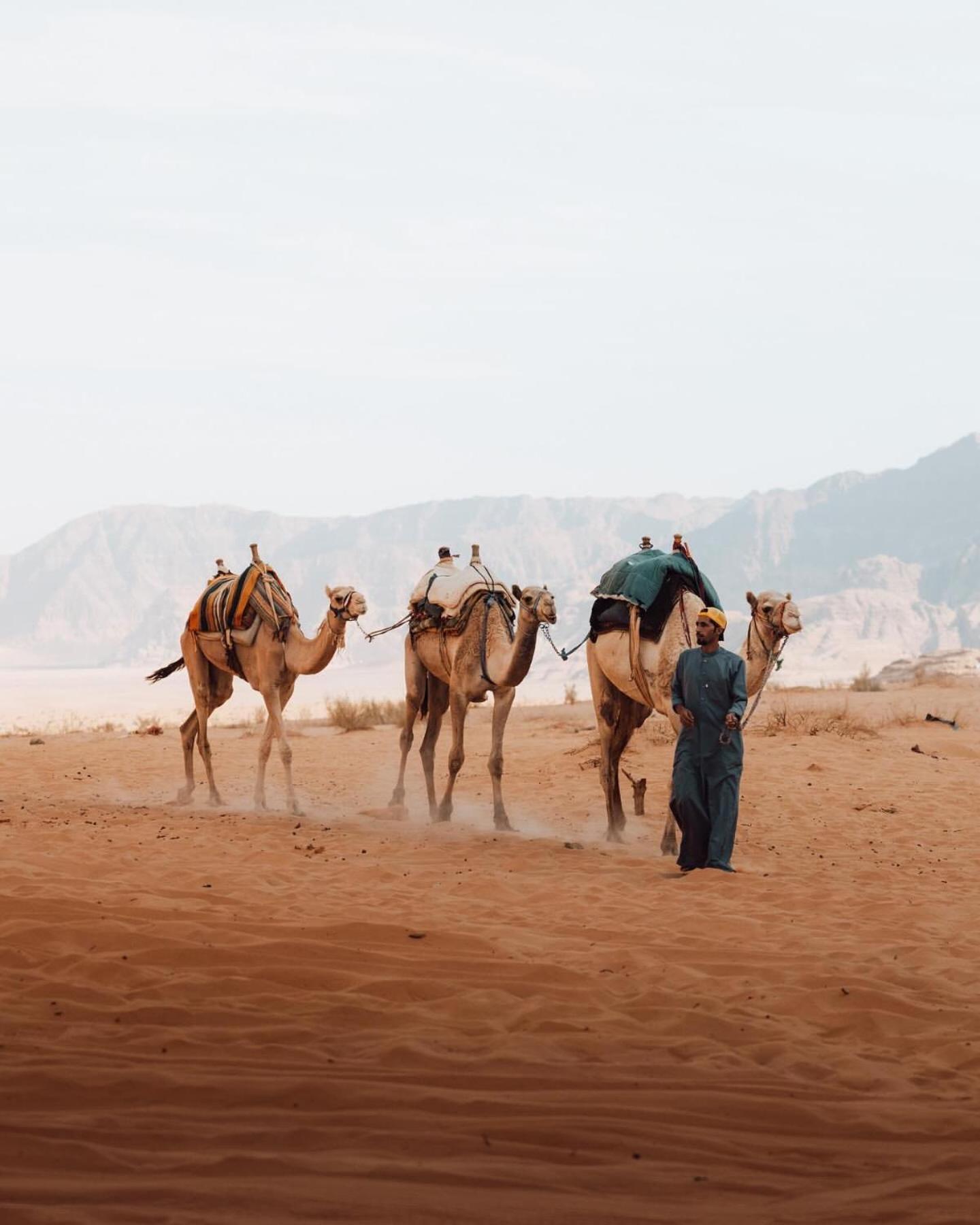 Rum Luxury Camp Wadi Rum Eksteriør billede