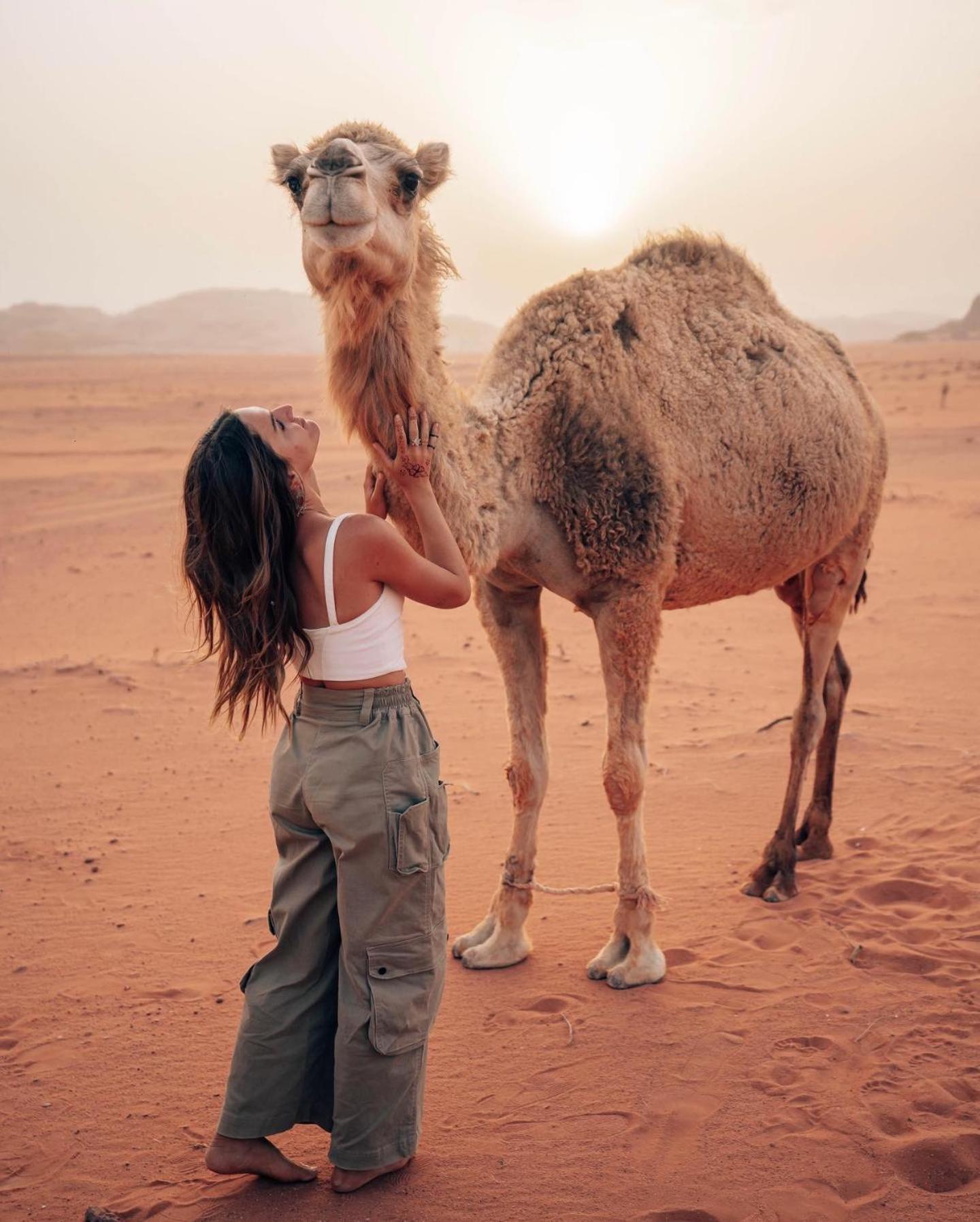 Rum Luxury Camp Wadi Rum Eksteriør billede